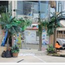 마할로 호텔 | 양양마할로호텔 카페 솔직후기 포토존부터 바다뷰까지 완벽