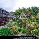 [20-17] 해외도보 21탄 - 일본 간사이 문화답사 걷기여행(상) [등지원(도지인,等持院), 아름다운 정원과 다도, 그리고 일본의 美적 관념에 대해] 이미지
