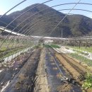 (주)단비 바이오 이미지