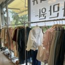 연희막스시오
