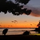 블루오션리조트홀리데이파크 이미지