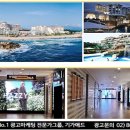 동해푸른광고
