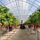 아람농장1 이미지