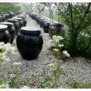 감천할머니 이미지