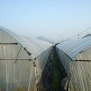 딸기소아청소년과의원 이미지