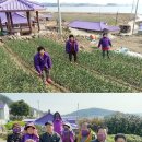 반월도퍼플펜션 이미지