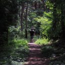 무등목장 이미지