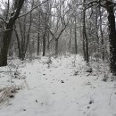 무봉산둘레길 이미지