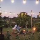 당근스테이 이미지