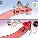 1144 한국보험신문