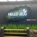 1711 | 청주공항 대한항공 KE1711 청주>제주 탑승 후기, 제주 태교여행, 임산부