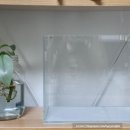 물고기(물과의 만남 이미지