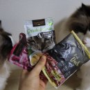 레오나르도 | 레오나르도 고양이 파우치 급여 후기｜퓨어 치킨 · 순수생육 오리 · 모빌리티 드링크