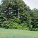 진부농장 이미지