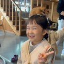 닥터쥬스&쌀똑핫도그 | 하남아이와가볼만한곳 요정출몰지역 내돈내산 후기ㅣ토끼 먹이 무제한 동물교감카페