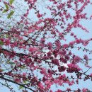 관악구민체육센터 이미지