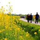 산동교 친수공원 축구장 이미지