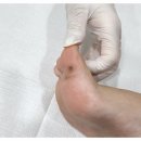 삼성노블의원 이미지