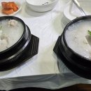 정박사 삼계탕 전문점 Daum카페