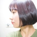 하움헤어