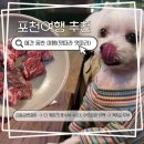[포천] 식당추천편 애견동반 포천 여행 이동강변갈비 더 케이즈 호수 뷰 힐링 자쿠지 펜션 청계호수...