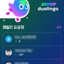 체스 기초과정 | 듀오링고 내돈내산 패밀리 슈퍼 가격 영어 6개월 후기