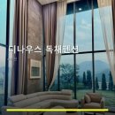 디나우스 네이버블로그