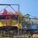 더불어숲 이미지