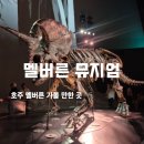 세계다문화박물관 | 멜버른 가 볼만한 곳! 공룡부터 곤충까지 멜버른 박물관 아이와 정복하기