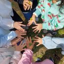 신광어린이집 이미지