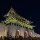 요가 야간D반 | 2025 경복궁 야간개장 관람후기 | 취소표로 궁궐 산책!
