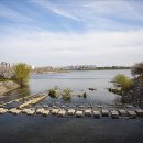 서호공원 이미지