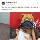 구도 이미지