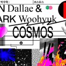 코스모스디자인 티스토리
