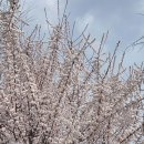 EAC작가지원프로젝트-김지우개인전 이미지