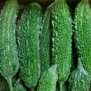 신벌농장 | 여주의 효능과 여주 주요성분 알아보기 철원 신가네 여주농장