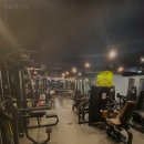 모슬피아짐 네이버블로그