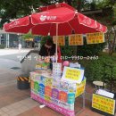 정관 돌고래광장 이미지