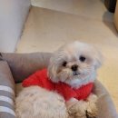테일링커피로스터스 이미지