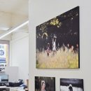 염주약국 이미지