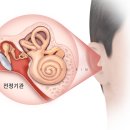 여의도이비인후과의원 네이버블로그