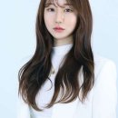 럭스1317