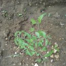 지훈농장 이미지