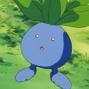 조수리 플로어 이미지