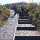 노고단-10 이미지