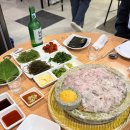 황금손 유쾌한 회 세꼬시 | 동탄 세꼬시 맛집 유쾌한회세꼬시 내돈내산 솔직후기