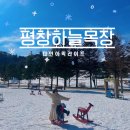양기운 | 평창여행 대관령 하늘목장 후기