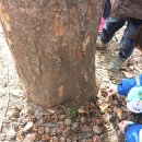 샬롬에덴어린이집 이미지