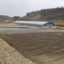 금곡농장 이미지