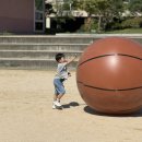 국가대표 한울태권도 이미지